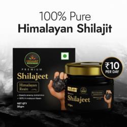 Himalaya Shilajeet
